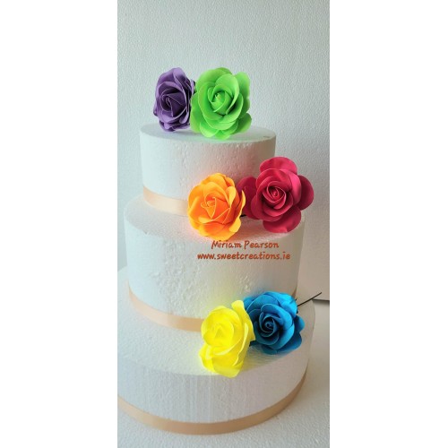 Neon Bright Roses Large